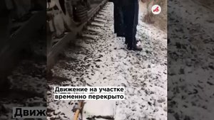 Поезд смял автобус с пассажирами в Хабаровске. Среди пострадавших – годовалый ребенок