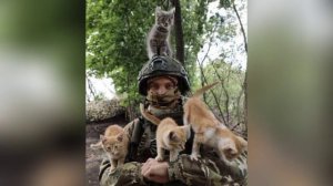 Алла Корнишина Вера Мартынова - Мур-мяу войска.