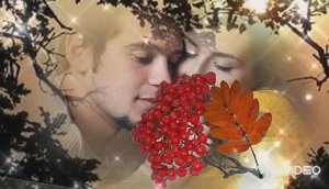 ДОБРОЕ ОСЕННЕЕ  УТРО ЧЕТВЕРГА  🌄 АЛАЯ РЯБИНА У КРЫЛЬЦА...