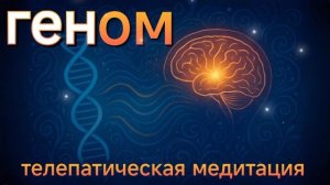 Геном — медитация