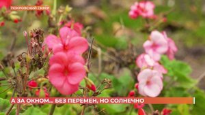 А за окном. 6 ноября 2025