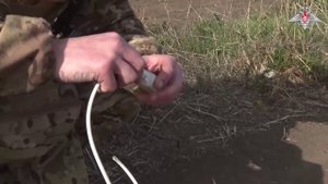 Саперы из Новороссийска ежедневно обезвреживают мины в Запорожской области