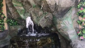 Красивые черепашки гостиница У пруда Волгоградская область