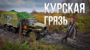 Приехали в гости к ПОЕХАЛИ!