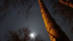 ЧУВСТВЕННОЕ ПОЛНОЛУНИЕ