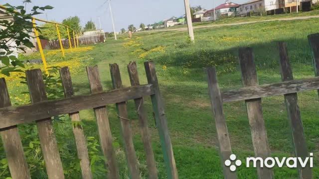 Обзор дома и участка в деревне!