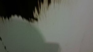 проба самодельного праймера