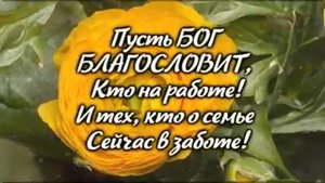 Мои Друзья, храни вас Бог  !!!