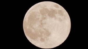 Главное суперлуние могут наблюдать жители Земли в любых уголках планеты
