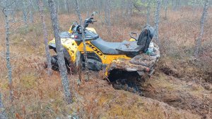 2 Гепарда на Бездон , тонем спаситееее!!!