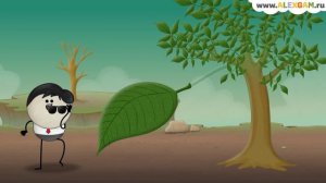 Почему листья меняют цвет и опадают?