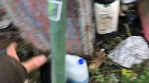 САДОВАЯ ДОРОЖКА ИЗ СТАРОГО ХЛАМА