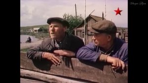 МИЛОСЕРДИЕ. Валерий Брошь. 06.11.2025