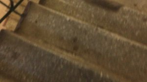 Теорема ЖКХ_Подъезд_2025.11.05_14-15