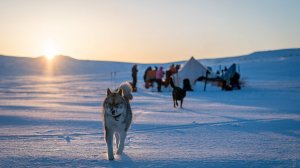 Сериал про лыжный поход 3кс (2021 г) по Камчатке. Как ходить в походы зимой_ 1 СЕРИЯ