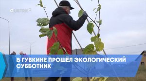 В Губкине прошёл экологический субботник