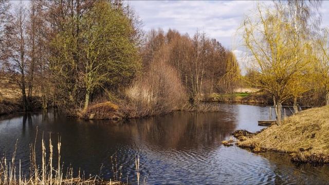 Стих Ермака Жучкова Родные края - читает автор