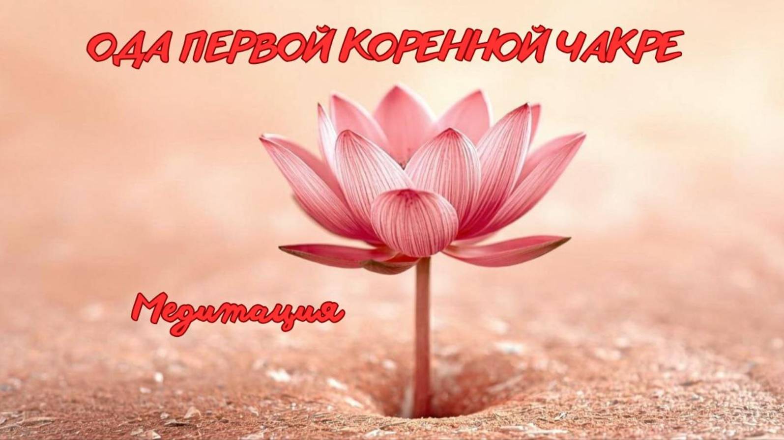 Ода первой чакре. Медитация. #вселеннаяя , #душа, #чакра, #энергетическаясистема