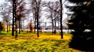 Малоохтинский проспект.