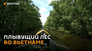 Плывущий лес и тысячи птиц в национальном парке Трам-Чим во Вьетнаме