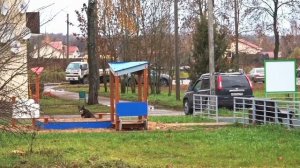 В муниципальном округе Истра продолжается отлов и стерилизация бездомных собак