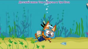 Три Кота Мультфильм