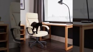 Кресала CHAIRMAN и котики... Котики и кресла CHAIRMAN... Наверное, это - любовь?❤️