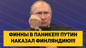 ФИННЫ В ПАНИКЕ!!! ПУТИН НАКАЗАЛ ФИНЛЯНДИЮ!!!