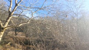 Замок Коварства и Любви. Кисловодск. Ноябрь 2025.