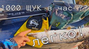 1000 щук в час ? легкотня ! Лови столько, сколько сам захочешь ! рыбалка на "тоненького"!