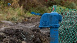 Жители деревни Рыпушкалицы в Карелии поблагодарили Артура Парфенчикова за ремонт водопровода