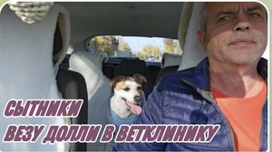 САМВЕЛ АДАМЯН, СЫТНИКИ, ВЕЗУ ДОЛЛИ В ВЕТКЛИНИКУ..