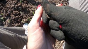 Хулюганю маленько!