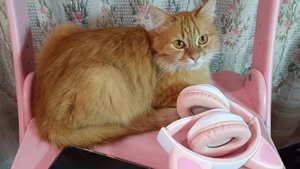 06-11-2025💥Влог 💥четверг