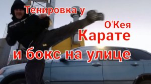 Удары ногами. Ограбление в Лувре. Худ.фильм на высоком уровне.