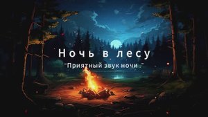 Звук ночи в лесу. Симфония ночного леса: Шепот сверчков под звездами.