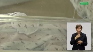 В России пособие по беременности и родам вырастет на 20%