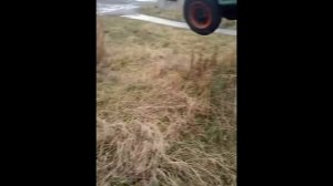 На пьедестале почёта Москвич 401 и Запорожец ЗАЗ 965 1950-60 г. Moskvich 401 and Zaporozhets ZAZ 965