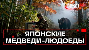 Борьба с медведями-людоедами в Японии