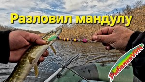 [2025]Рыбалка на спиннинг в ноябре 2