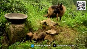 Забытая история - Выпечка хлеба в столетнем заброшенном доме у примитивной водяной мельницы