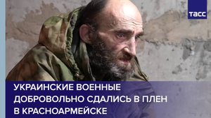 Украинские военные добровольно сдались в плен в Красноармейске