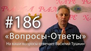 Василий Тушкин отвечает на ваши вопросы, Выпуск 186, 2025-10-27