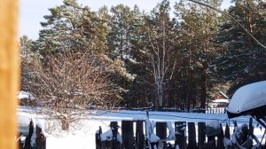 СЕЛЬСКИЕ БУДНИ