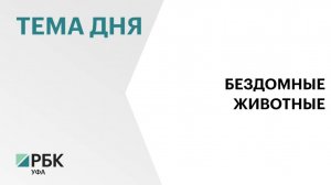 В Башкортостане увеличат субвенции городам и районам на отлов бездомных животных