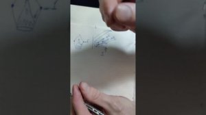 Как давать лекарство стрижу