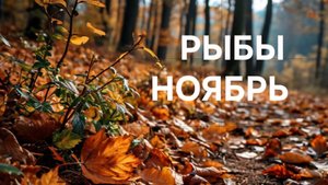 РЫБЫ. ТАРО ПРОГНОЗ НА НОЯБРЬ