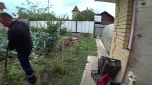 Влог от 03.09.2021