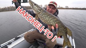 Спиннинг в октябре//Щука и Окунь!