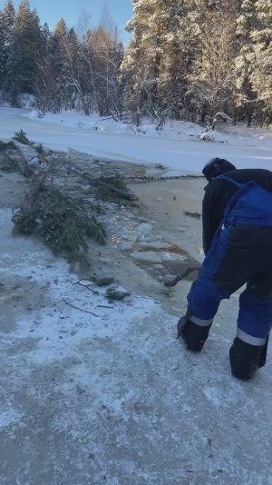 Под мотособакой лёд провалился, оба оказались в ледяной воде!